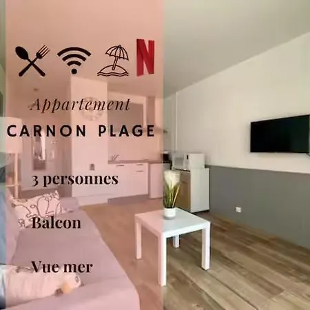 Appartamento *les Voiliers, Studio, Vue Sur Mer, Wifi, Parking* Mauguio
