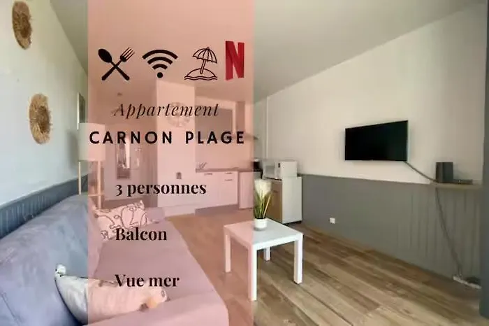Διαμέρισμα *les Voiliers, Studio, Vue Sur Mer, Wifi, Parking* Mauguio